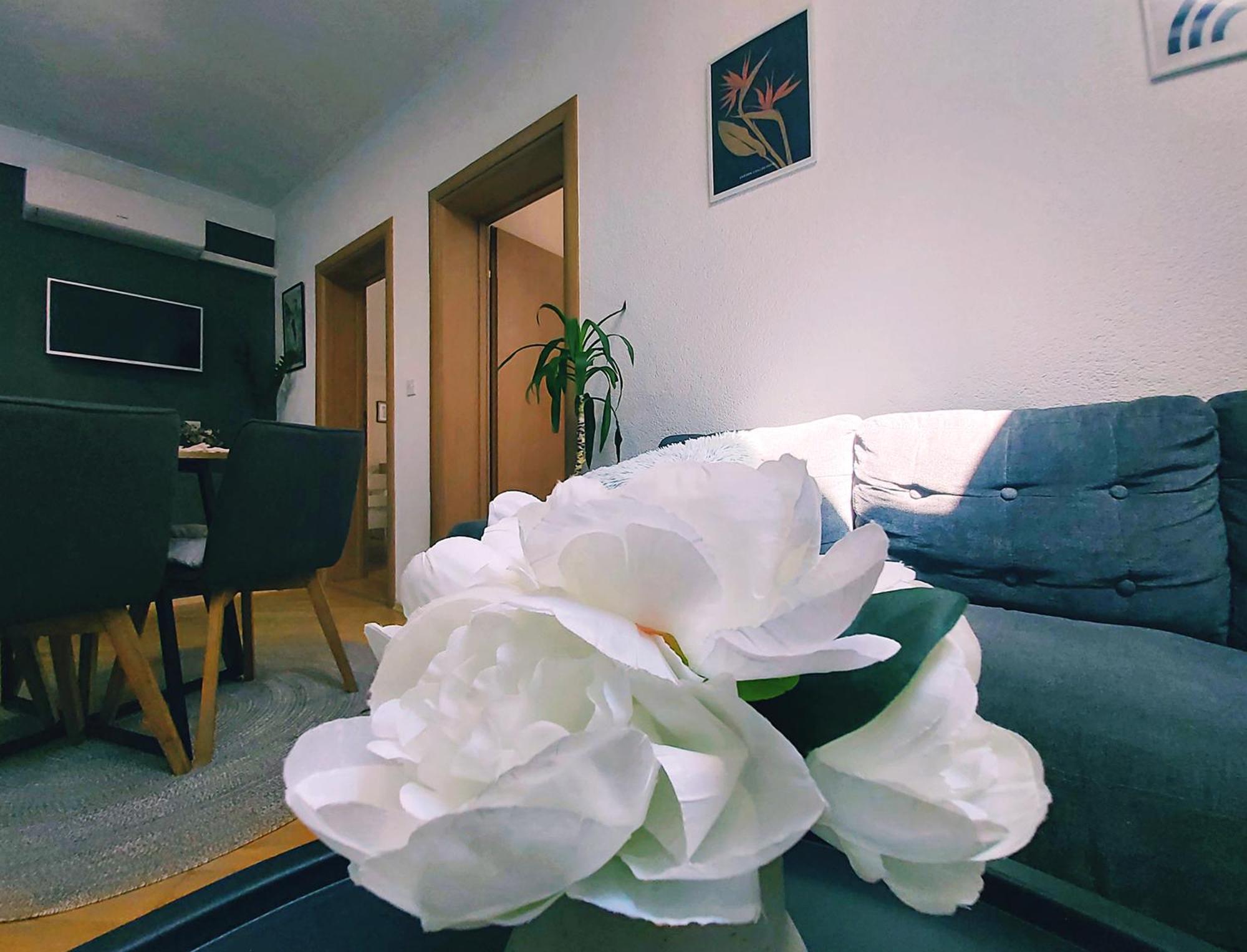 Zara Apartment With Terrace Near Old Town Mostar Eksteriør bilde